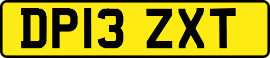 DP13ZXT