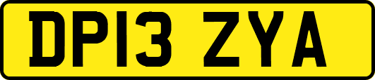 DP13ZYA