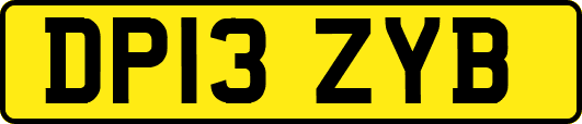 DP13ZYB
