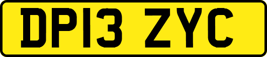 DP13ZYC