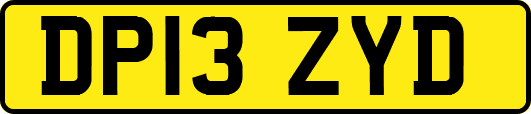 DP13ZYD