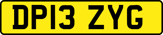 DP13ZYG