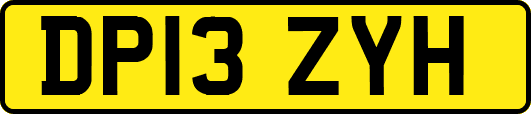 DP13ZYH
