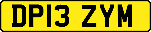 DP13ZYM