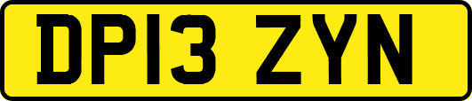 DP13ZYN