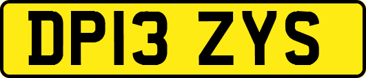 DP13ZYS