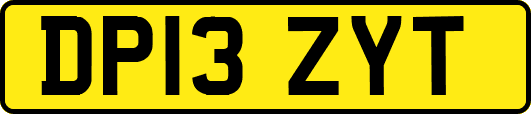 DP13ZYT