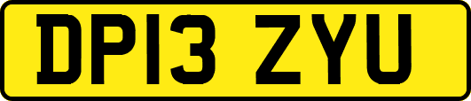 DP13ZYU