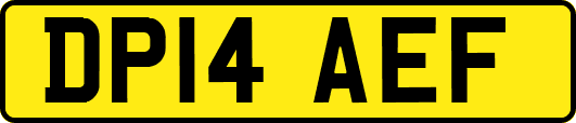 DP14AEF