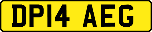 DP14AEG