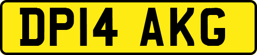 DP14AKG