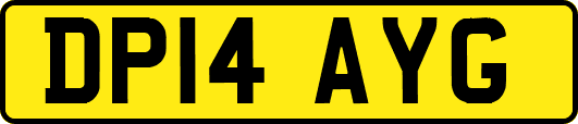 DP14AYG