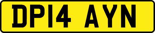 DP14AYN