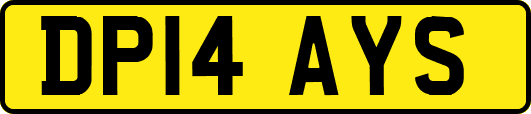 DP14AYS