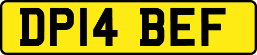 DP14BEF