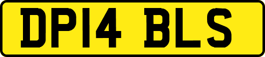 DP14BLS