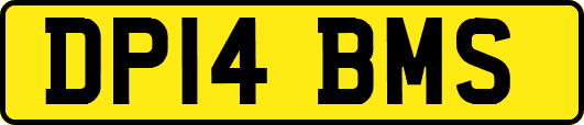 DP14BMS