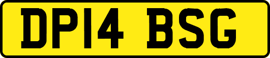 DP14BSG