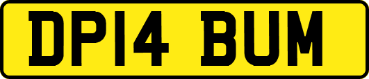 DP14BUM