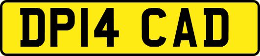 DP14CAD