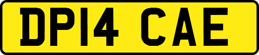 DP14CAE