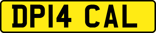 DP14CAL