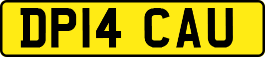 DP14CAU
