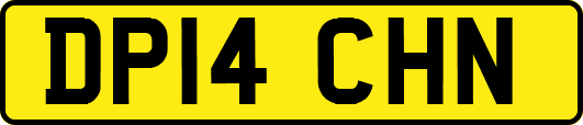 DP14CHN