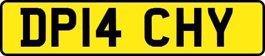DP14CHY