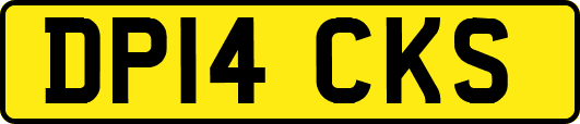 DP14CKS
