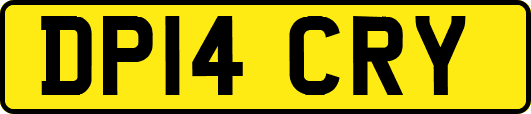 DP14CRY