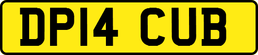 DP14CUB