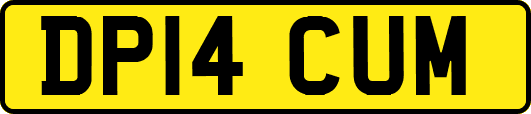 DP14CUM