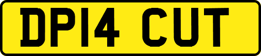 DP14CUT