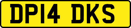 DP14DKS