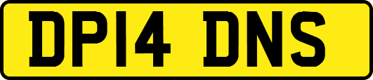 DP14DNS