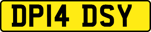 DP14DSY
