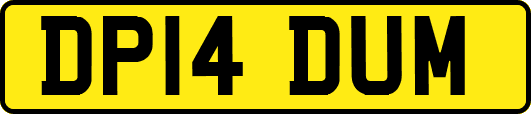 DP14DUM