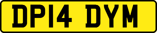 DP14DYM