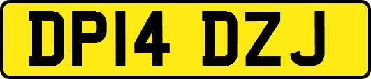 DP14DZJ