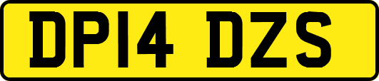 DP14DZS