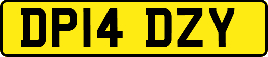 DP14DZY