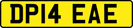 DP14EAE