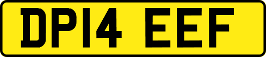 DP14EEF