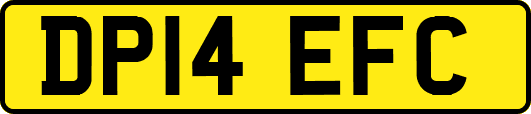DP14EFC