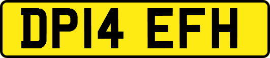 DP14EFH