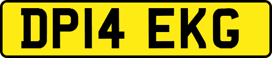DP14EKG