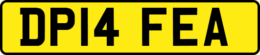 DP14FEA