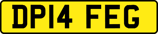 DP14FEG