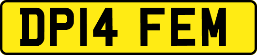 DP14FEM